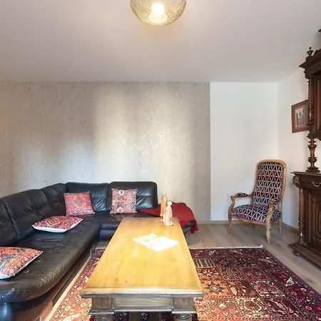 Le Rhenanus Jacques Taurellus - Duplex Au Calme - Centre - Parking Gratuit