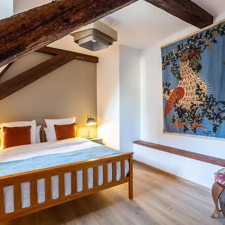 Le Rhenanus Jacques Taurellus - Duplex Au Calme - Centre - Parking Gratuit Apartment Selestat