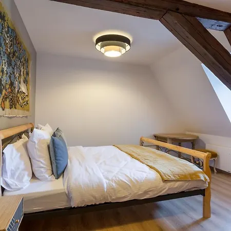 Appartement Le Rhenanus Jacques Taurellus - Duplex Au Calme - Centre - Parking Gratuit *