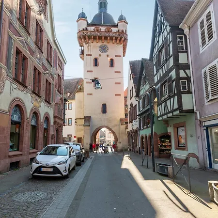 Jacques Taurellus Selestat - Parking Gratuit - Proche Europa-Park - Route Des Vins - Haut-Koenigsbourg Апартаменты Селеста