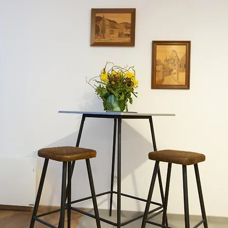 Le Rhenanus Jacques Taurellus - Duplex Au Calme - Centre - Parking Gratuit Selestat