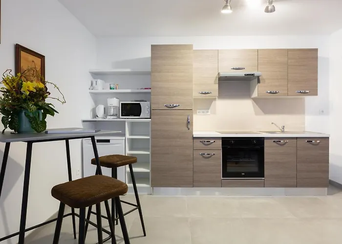 Apartamento Jacques Taurellus Sélestat - Parking gratuit - Proche Europa-Park - Route des Vins - Haut-Koenigsbourg