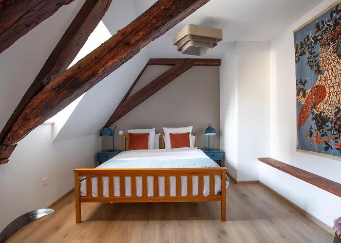 Apartamento Jacques Taurellus Sélestat - Parking gratuit - Proche Europa-Park - Route des Vins - Haut-Koenigsbourg Sélestat