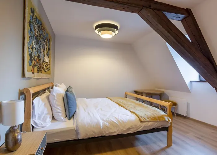 Apartamento Jacques Taurellus Sélestat - Parking gratuit - Proche Europa-Park - Route des Vins - Haut-Koenigsbourg *