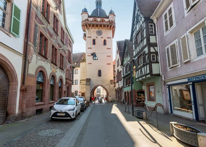 Jacques Taurellus Sélestat - Parking gratuit - Proche Europa-Park - Route des Vins - Haut-Koenigsbourg Apartamento Sélestat
